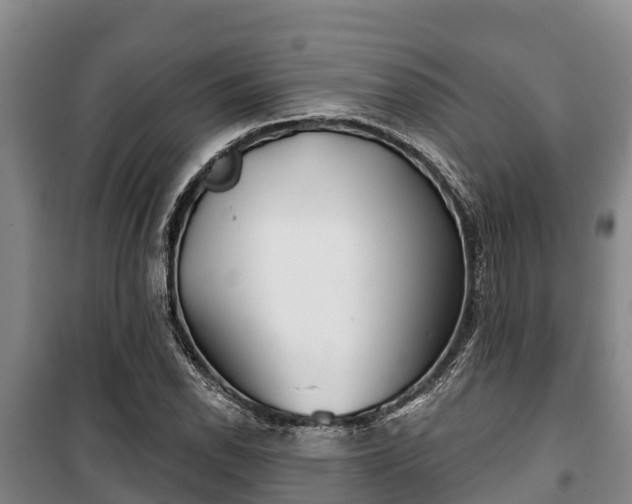 X0000100201118200806061316