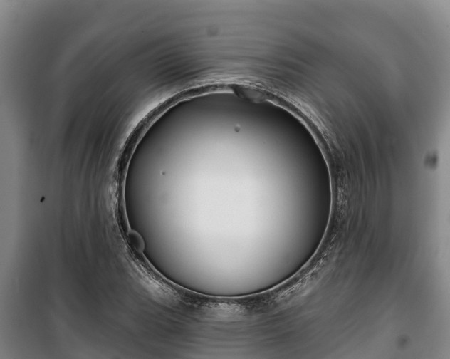 X0000100201119200806061316