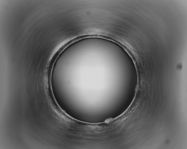 X0000100201120200806061316