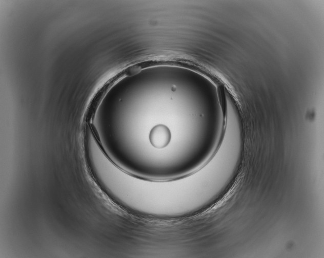 X0000100201122200806061316