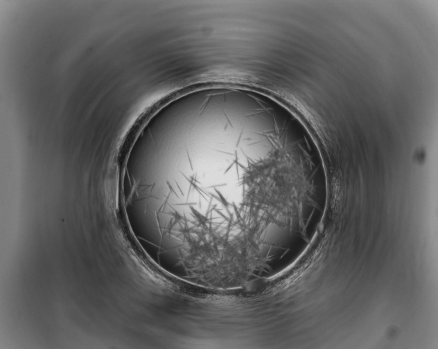 X0000100201123200806061316