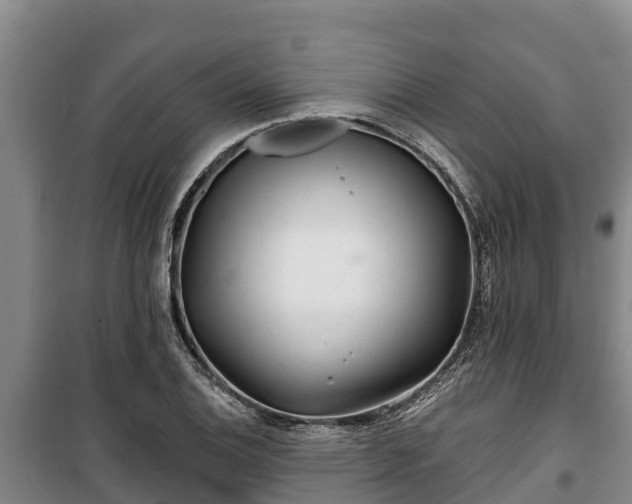 X0000100201124200806061316