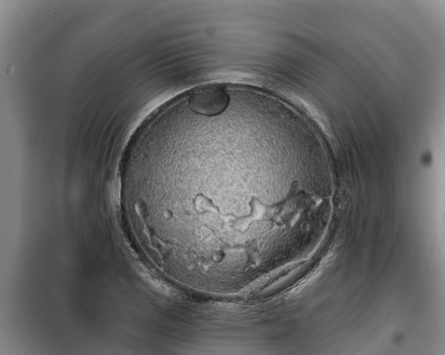 X0000100201125200806061316