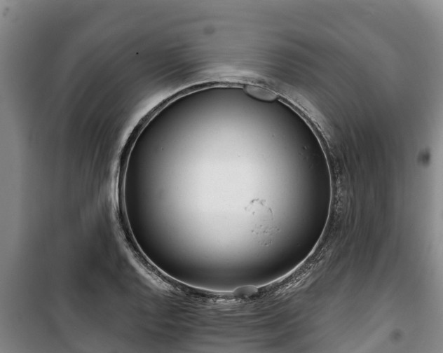 X0000100201128200806061316