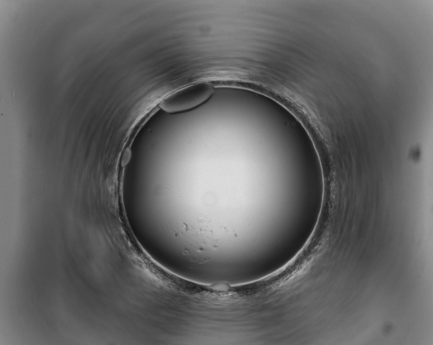 X0000100201129200806061316