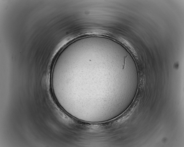 X0000100201130200806061316