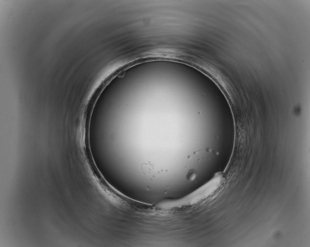 X0000100201131200806061316