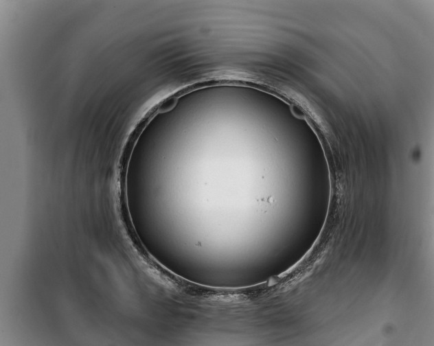 X0000100201133200806061316