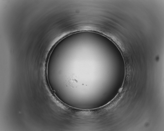 X0000100201134200806061316