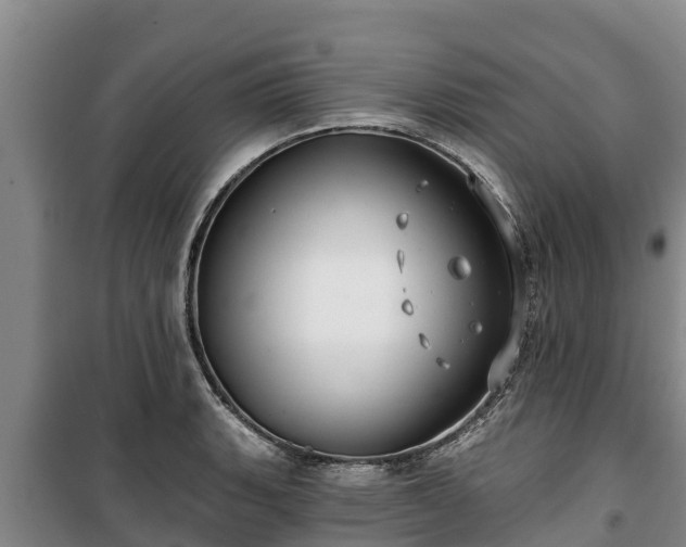 X0000100201135200806061316