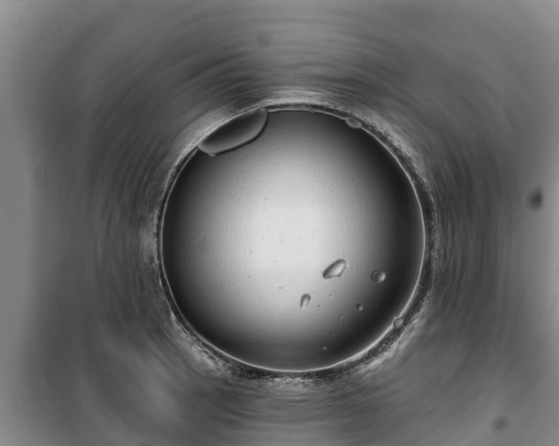 X0000100201137200806061316