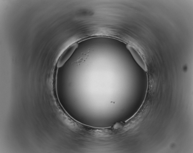 X0000100201138200806061316