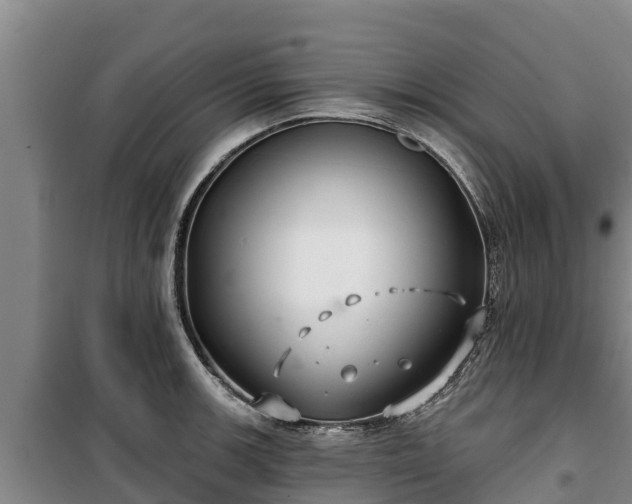 X0000100201139200806061316