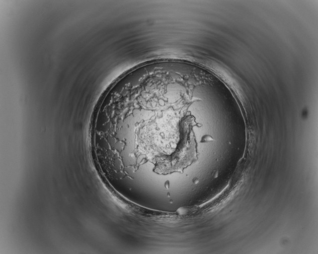 X0000100201141200806061316