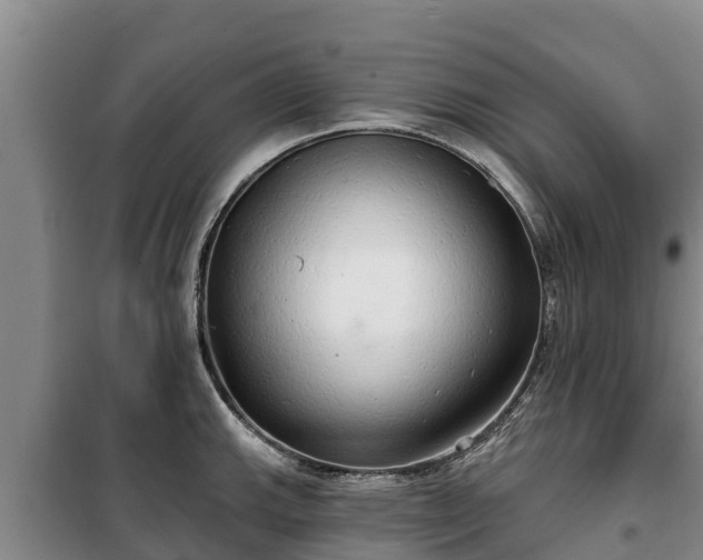 X0000100201143200806061316