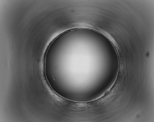 X0000100201144200806061316