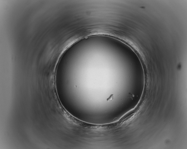 X0000100201145200806061316