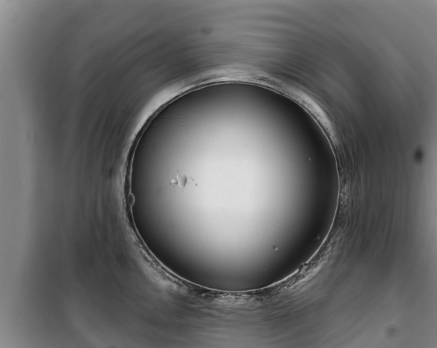 X0000100201146200806061316