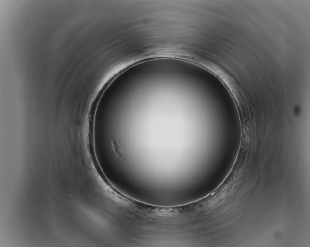 X0000100201147200806061316