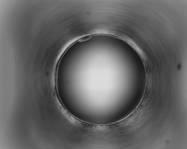 X0000100201148200806061316