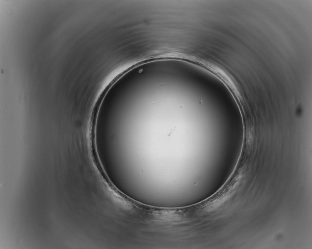 X0000100201149200806061316