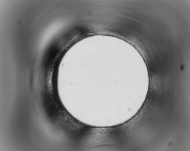 X0000100201150200806061316