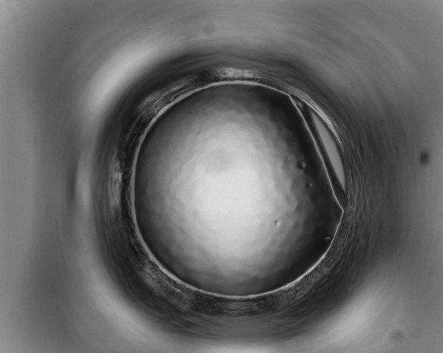 X0000100201151200806061316