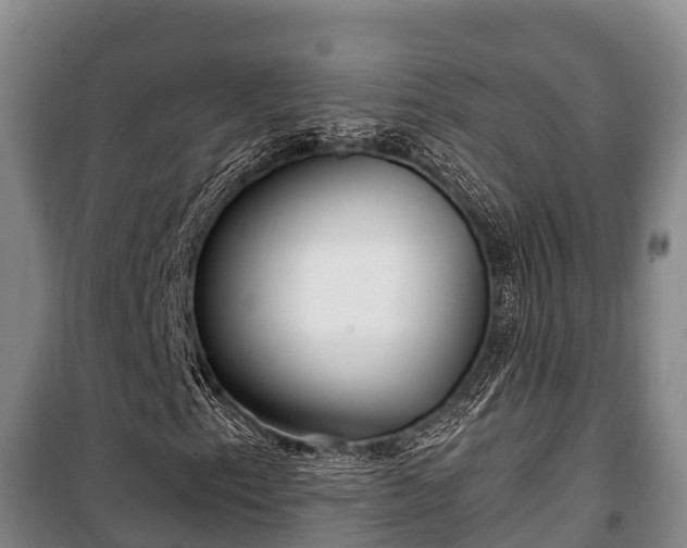 X0000100201153200806061315