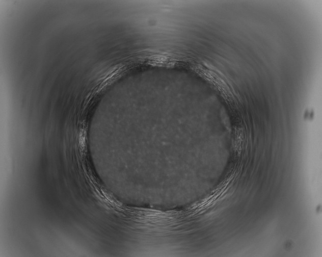 X0000100201154200806061315