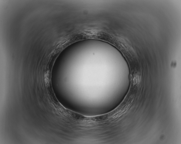 X0000100201156200806061315