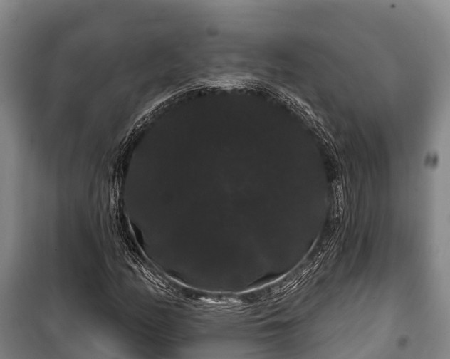 X0000100201158200806061315