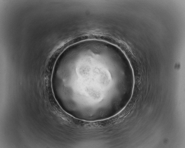 X0000100201159200806061315