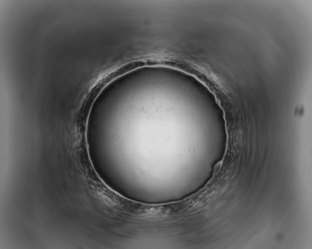 X0000100201160200806061315