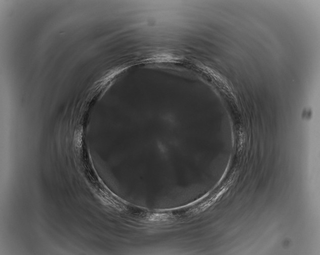 X0000100201161200806061315