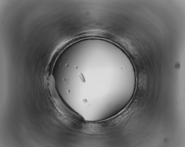 X0000100201164200806061315