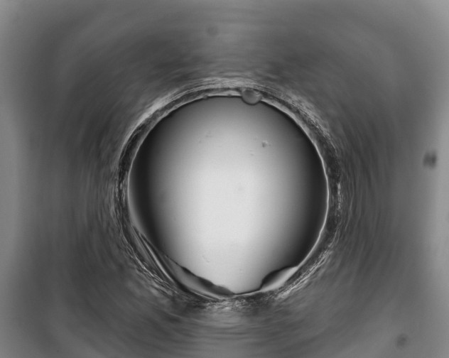 X0000100201165200806061315