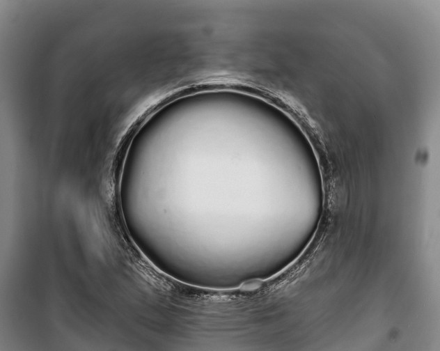 X0000100201167200806061315