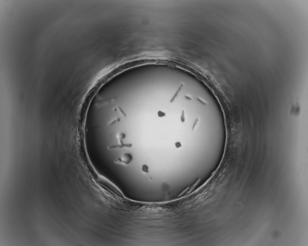 X0000100201168200806061315