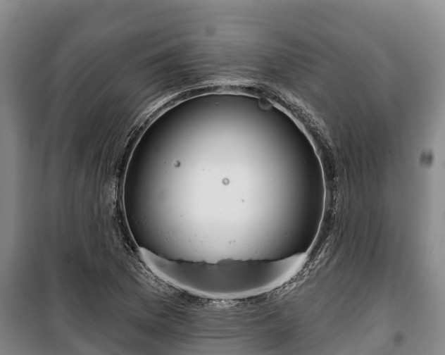 X0000100201169200806061315