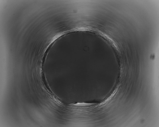 X0000100201170200806061315