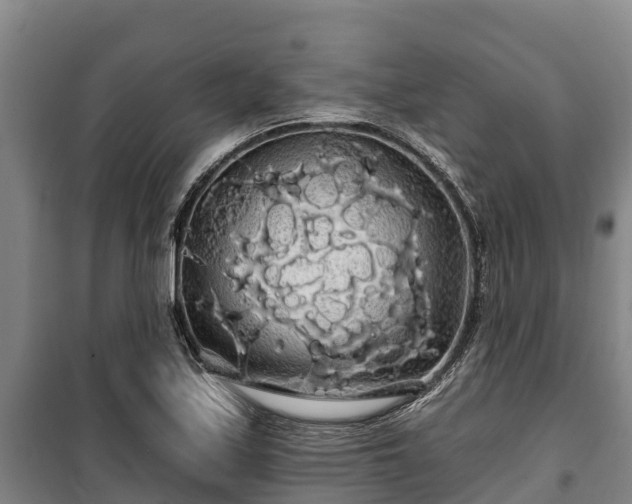 X0000100201171200806061315