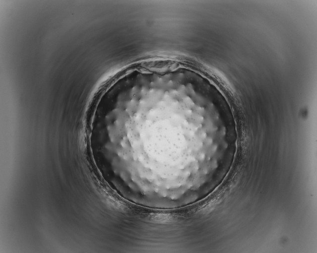 X0000100201172200806061315