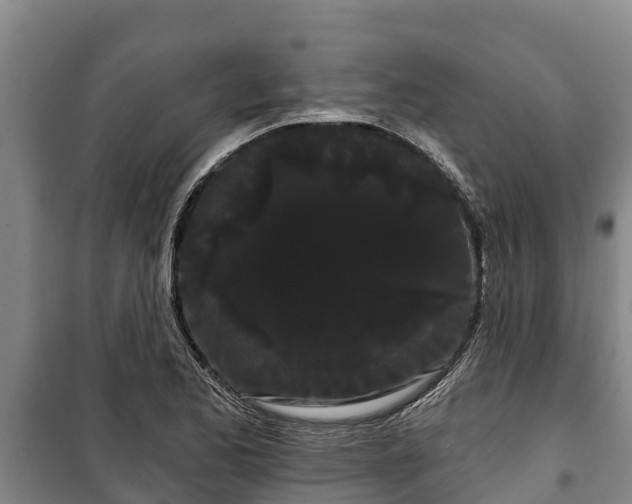 X0000100201173200806061315