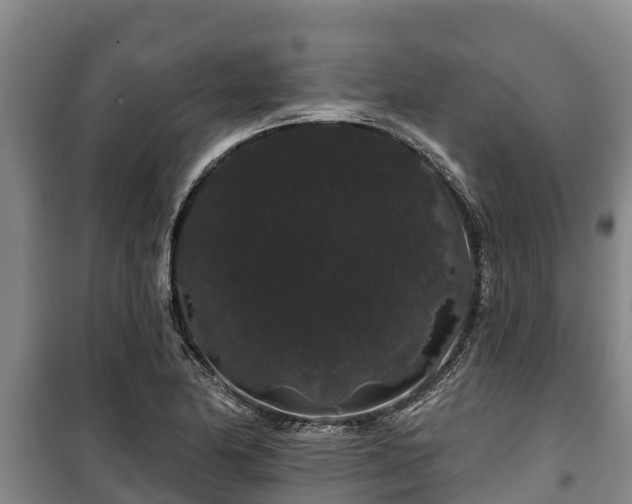 X0000100201174200806061315