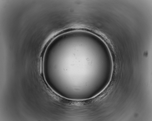 X0000100201175200806061315