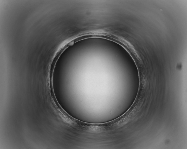 X0000100201176200806061315