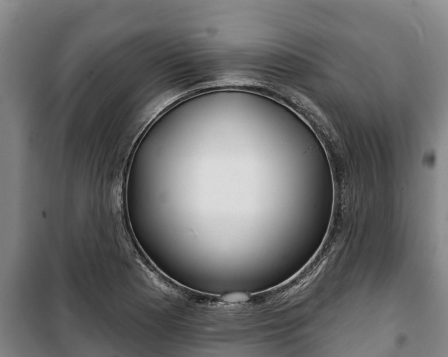 X0000100201177200806061315