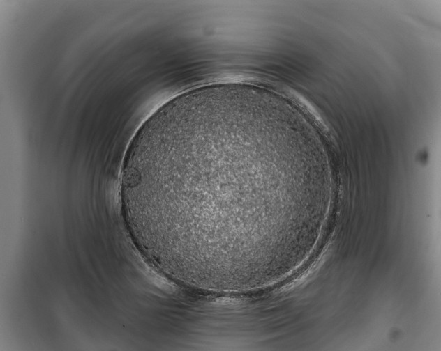 X0000100201178200806061315