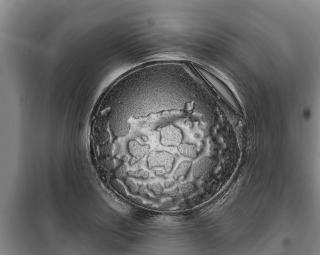 X0000100201179200806061315