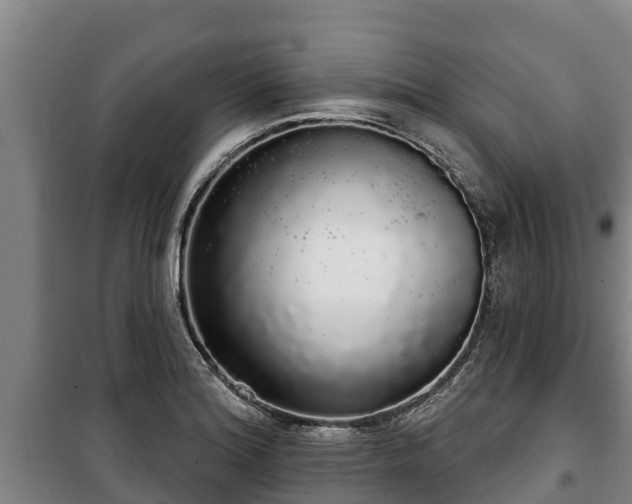 X0000100201180200806061315